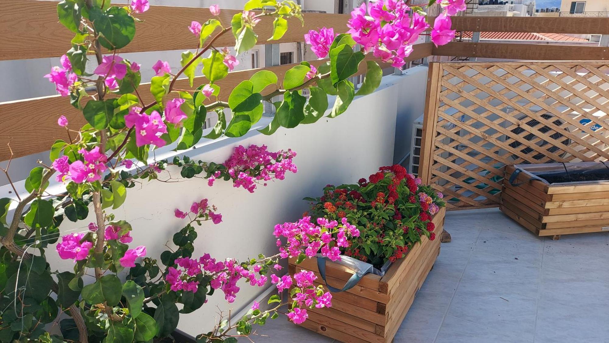The Blue Apartment In The Heart Of Heraklion Εξωτερικό φωτογραφία
